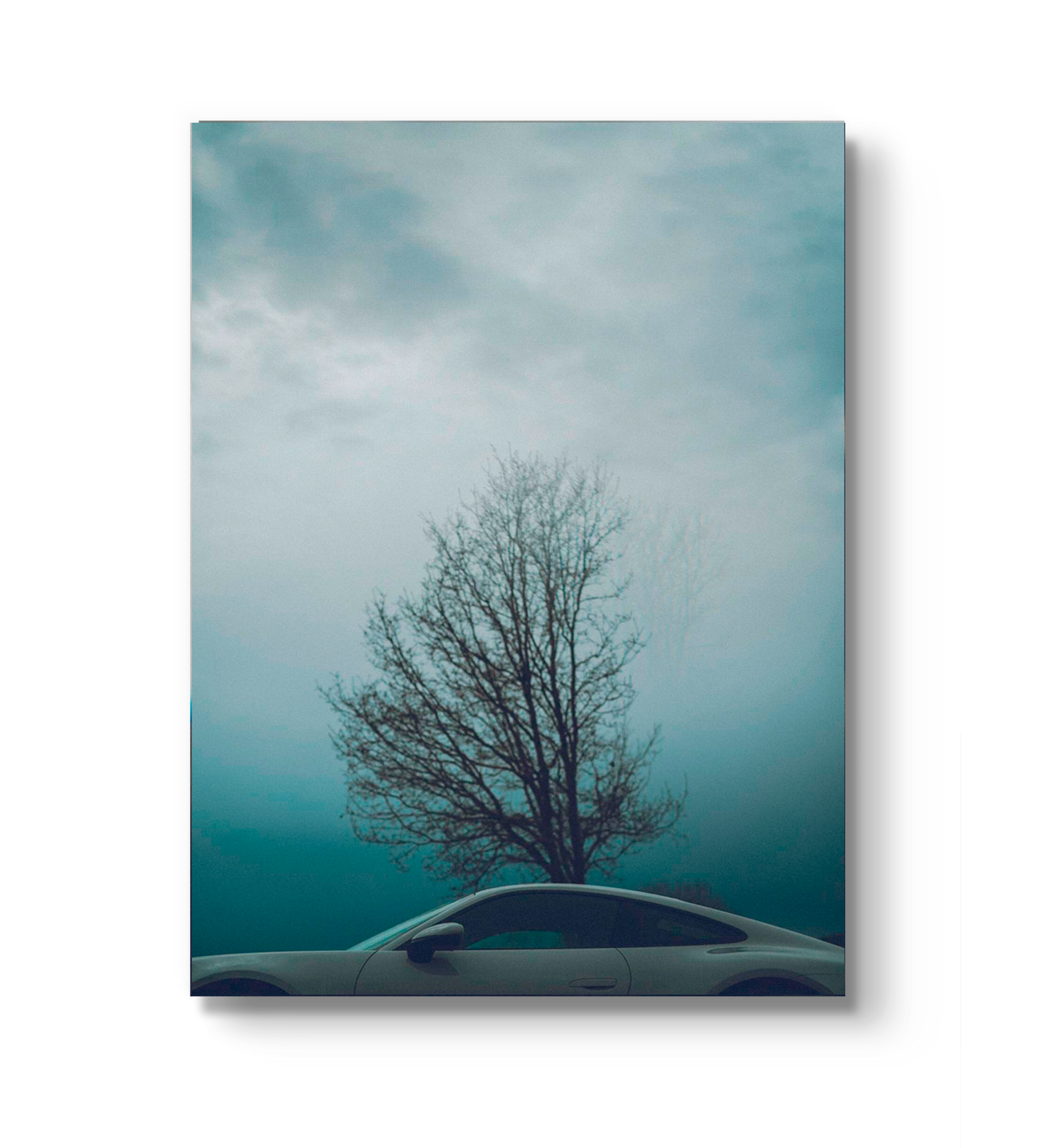 PORSCHE TREE