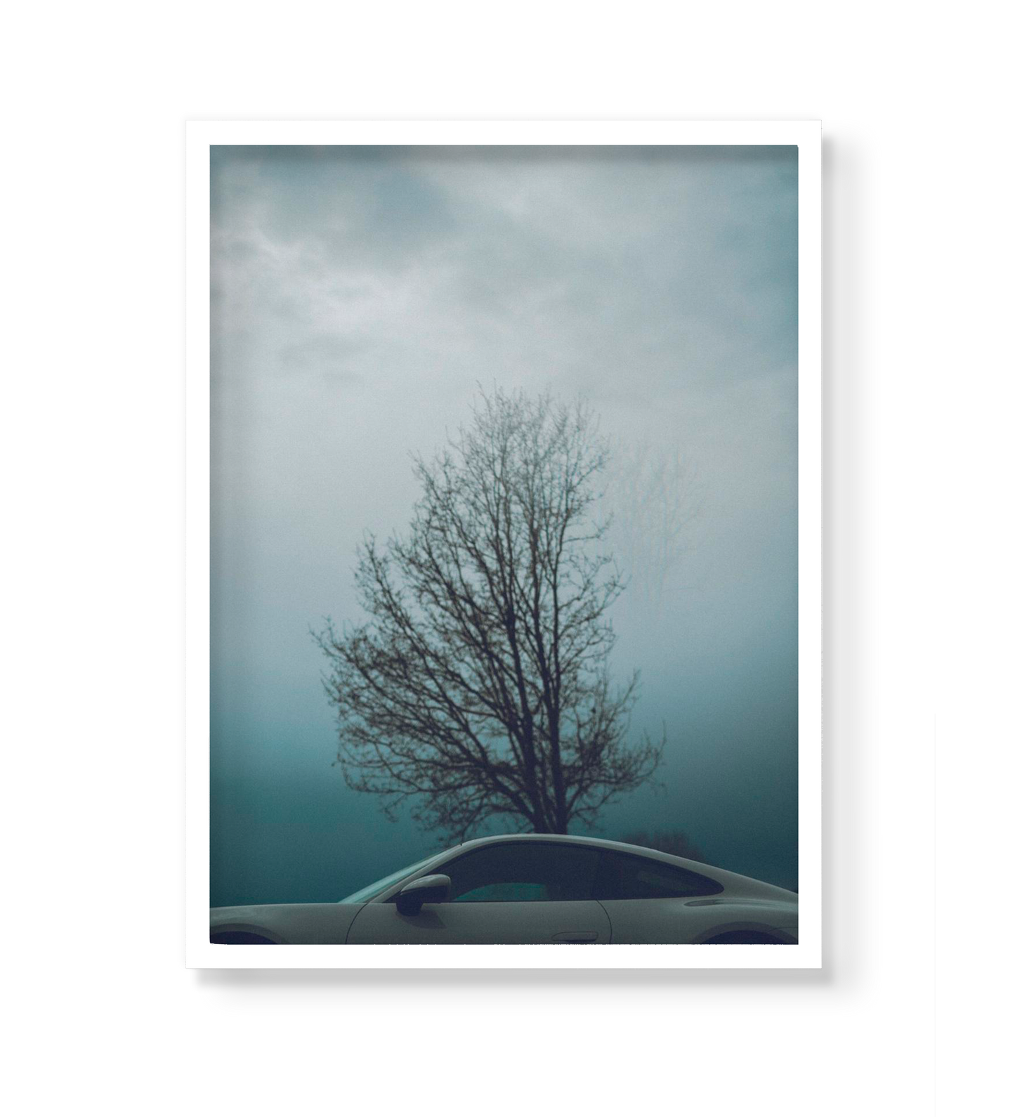 PORSCHE TREE