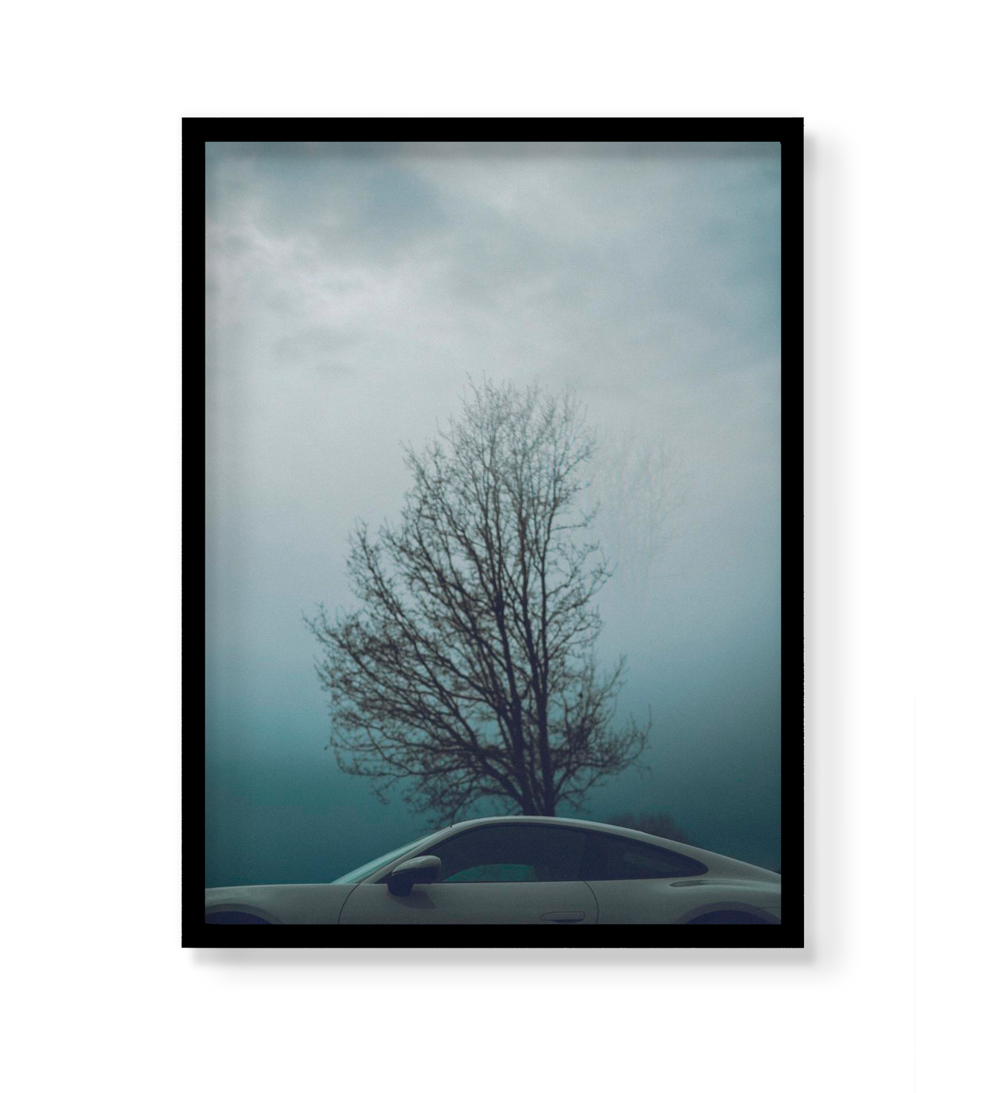 PORSCHE TREE